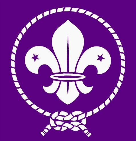 Scouts Castilla de Castilla León MSC
